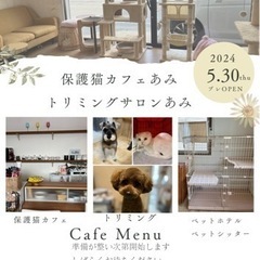 保護猫カフェあみ
