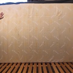 テンピュール　ダブルマットレスの画像