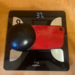 ダウンリガー  ウエイト 【レイクトローリング　パンケーキ型8l...