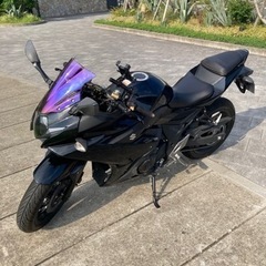 GSX250Rの画像