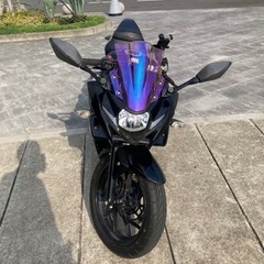GSX250Rの画像