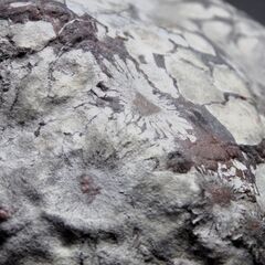 菊花石12.8㎏　赤花　水石　鑑賞石　山型石の画像