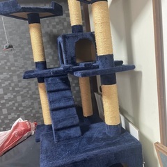 キャットタワー