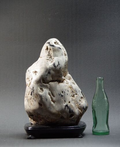 珪化木　瑪瑙化木化石　12.4ｋｇ　忍耐・継続と平常心のパワーストーン　ペトリファイドウッド　アゲート