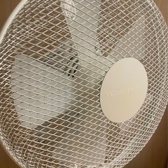 家電 季節、空調家電 扇風機の画像