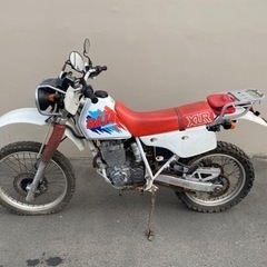 ホンダ xlr xr 250 baja バハ ノーマル　実働　レストアベース　札幌　北海道の画像