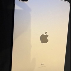 iPad 11インチ　の画像