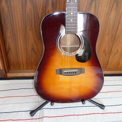 ギター  Aria Dreadnought AD-211  ソフ...