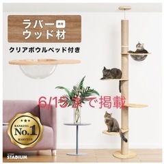 キャットタワー