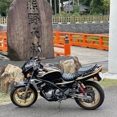 バリオス2 カワサキの画像