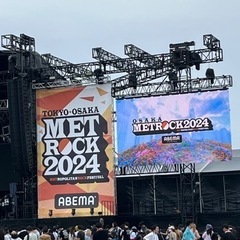 フェスに参加