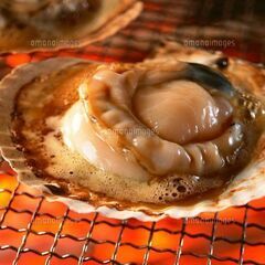 【毎月美味しいもの食べてるグルメサークルです】珍味祭り参加しませ...