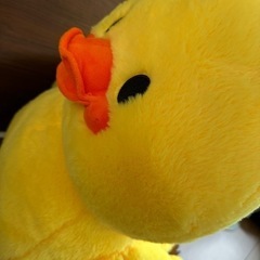 あひるのこEXびっぐ ぬいぐるみの画像