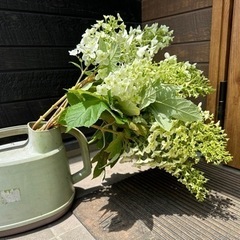 柏葉アジサイの花束