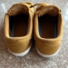 メンズスニーカー/NIKE•ナイキ/ＳＢ•チェック/スケーター、キャンパスの画像