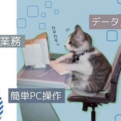 《PCを使った入力＊カンタンなPC操作できる人歓迎》製品の分析結...