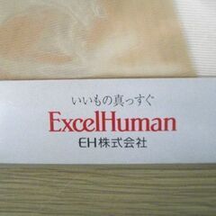 未開封品 素足美人Ⅱ ストッキング 6足セット まとめ売り ExcelHuman M～Lサイズ ローチベージュ 綿マチ付き サポートストッキング 苫小牧西店の画像