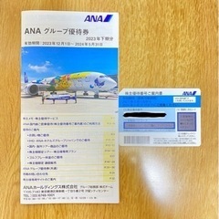【郵送のみ•送料無料】ANA株主優待券 1枚 (2024.5.3...