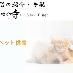 僧侶によるペット（動物）の葬儀、供養　全国対応