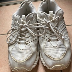 通学靴28cmの画像
