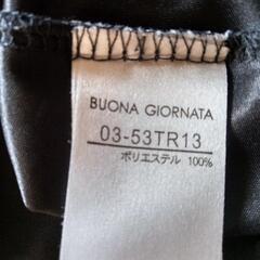 シースルー黒の半袖の画像