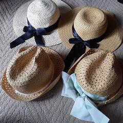 生活雑貨 家庭用品 ガーデニングの画像