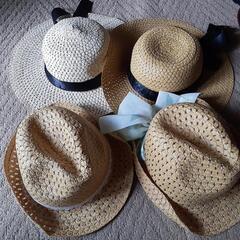 生活雑貨 家庭用品 ガーデニング