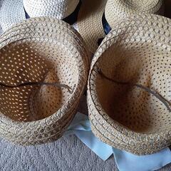 生活雑貨 家庭用品 ガーデニングの画像