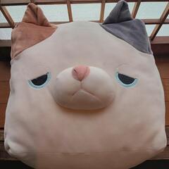 コップ　ぬいぐるみ　他の画像