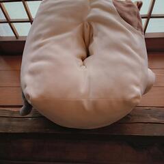 コップ　ぬいぐるみ　他の画像