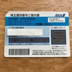 ANA 株主優待　航空券　2024/5/31まで