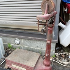 家電 生活家電 掃除機