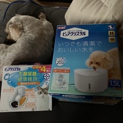 ３ヶ月使用