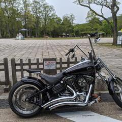 ハーレー fxcwc の画像