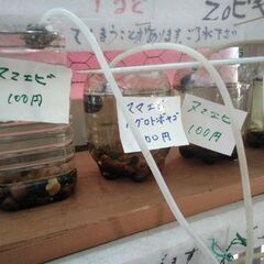 1・5L又は2Lのペットボトルを下さい。ピンチです！宜しくお願いします。の画像
