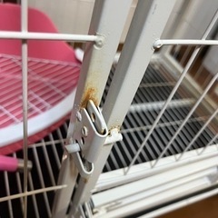 うさぎケージ
の画像