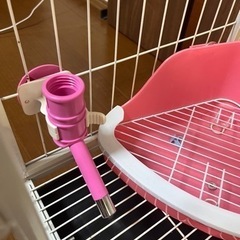 うさぎケージ
の画像