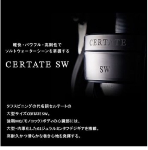 Daiwa21 セルテートSW 6000-H