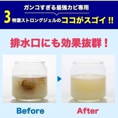 髪の毛も溶かすカビ取り剤 カビダッシュ 特濃ストロングジェル 500ml の画像