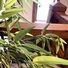 タカさんお取引中の画像