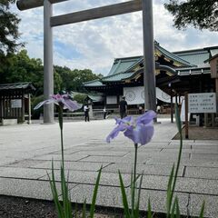 東京花菖蒲会、会員募集中 - その他