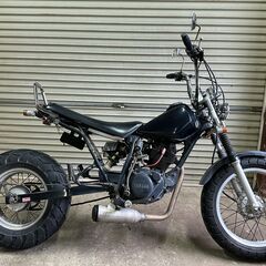 ⭕TW200 ロンスイカスタム/社外マフラー/動画あり/柏市⭕の画像