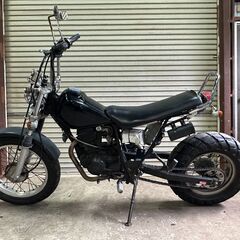 ⭕TW200 ロンスイカスタム/社外マフラー/動画あり/柏市⭕の画像