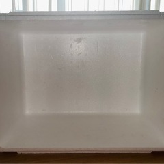 大きな発泡スチロールの箱の画像