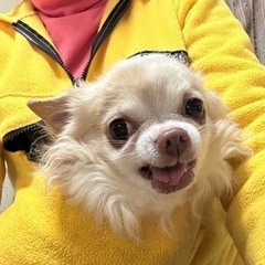 12歳オス