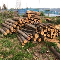 ナラ薪用の画像