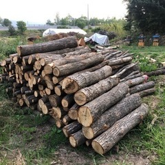 ナラ薪用の画像