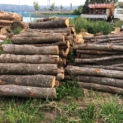 ナラ薪用の画像