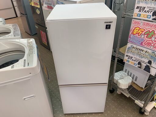 安心の除菌洗浄済SHARP 2ドア冷蔵庫 SJ-GD14E-W 2019年製 保証有り【愛千143
