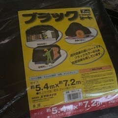 ブラックシート　大判　未使用